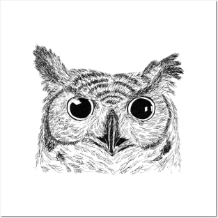 Hand Drawn Owl Posters and Art